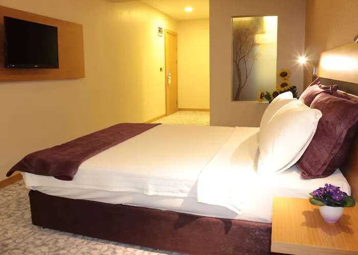 Hotel Osaka Airport Istambul